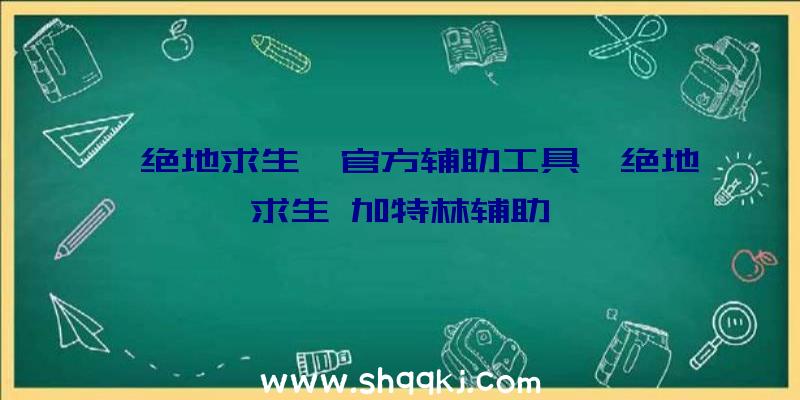 《绝地求生》官方辅助工具、绝地求生